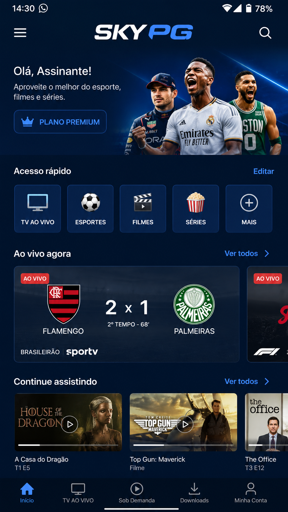 SkyPG screenshot